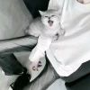 烨