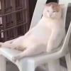 又出来
