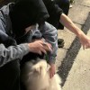 沉迷的头像-iPA资源站