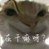吴某某
