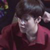 Shy