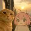 猫_844