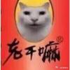 木偶人_957