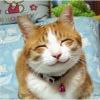 GOODLU_160