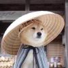 银↪