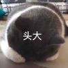 ABCII的头像-七玩网