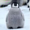 北关的头像-长游分享网