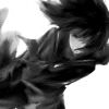 E不在留念的头像-iPA资源站
