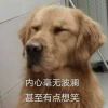 李哇塞