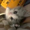 用户_4251