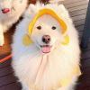 ๑糊狐๑