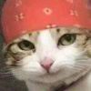 穿开裆裤的猫-系语社区-科技数码交流论坛