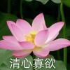 一发手感就好