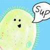 Paramecium157035