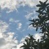 枫林晚的头像-辉月官网