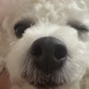li901121的头像-KK音频资源网