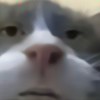 C_209