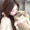 霹雳虎