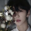 3513178415QS的头像-魔酷网