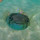 Pst****