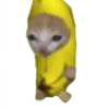 长生药