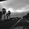 sanxun666-空投项目发布网