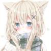 草鱼猫