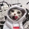 沉默纪年つ一半是你的影
