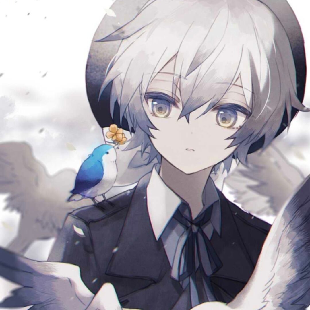 屑浩君