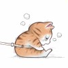 偷腥的猫的头像-个人笔记