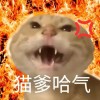 中国功夫筱燃鸡创始人