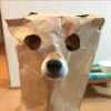 喵皇大人