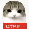 臭枫枫