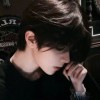 user56868858的头像-iPA资源站