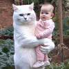 抱着小孩的猫