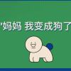walt的头像-魔酷网
