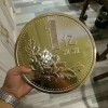 mhxy111的头像-小灰兔技术频道