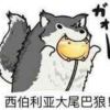 坚持努力
