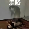 KRBS的头像-魔酷网
