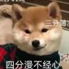 地下城与奶妈