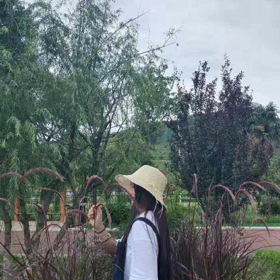 踏入荒野