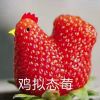 基紫