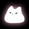 Rin_662