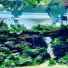 fatecheung-系语社区-折腾玩机聚集地