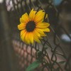 user32478249的头像-iPA资源站