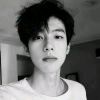 wang19385352645的头像-X黑手网