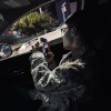 南风的头像-FiveM插件网