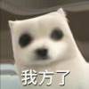 无念_238