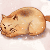 dream_657