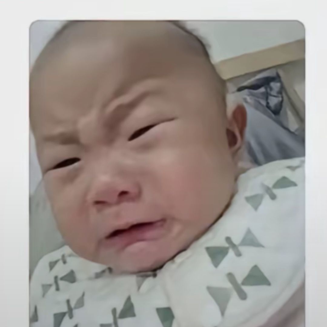 鼠鼠_508